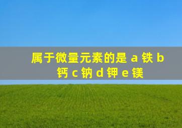 属于微量元素的是 a 铁 b 钙 c 钠 d 钾 e 镁